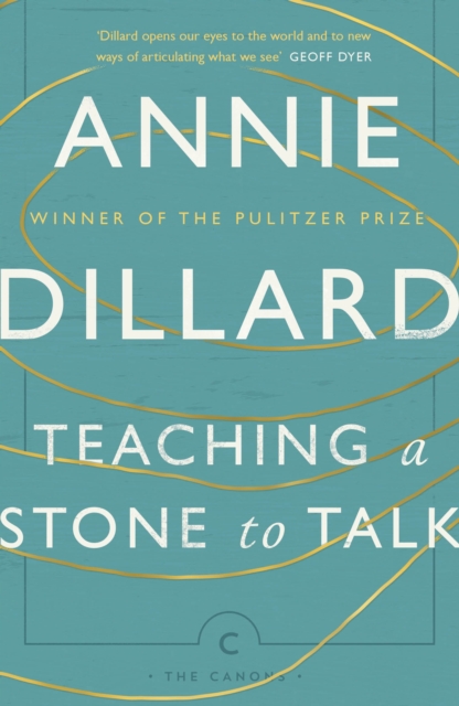 Obrázok Teaching a Stone to Talk