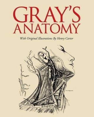 Obrázok Grays Anatomy