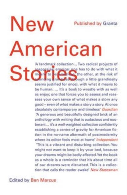 Obrázok New American Stories
