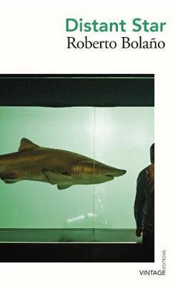 Obrázok Distant Star