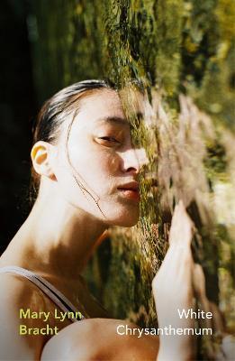 Obrázok White Chrysanthemum