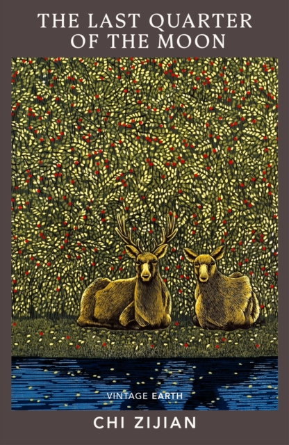 Obrázok The Last Quarter of the Moon