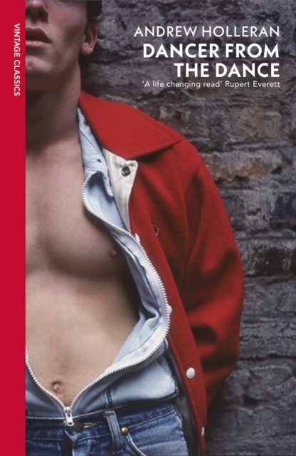 Obrázok Dancer from the Dance