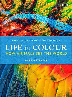 Obrázok Life in Colour