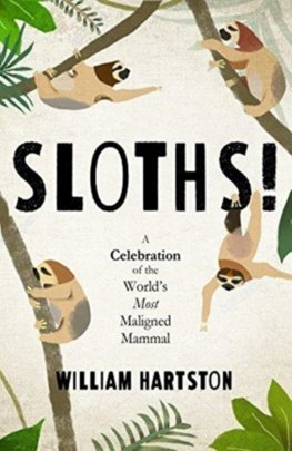 Obrázok Sloths