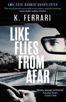 Obrázok Like Flies from Afar