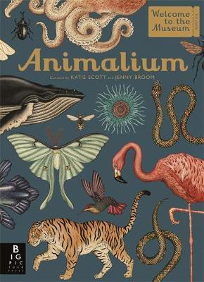 Obrázok Animalium