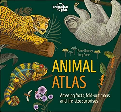 Obrázok Animal Atlas 1