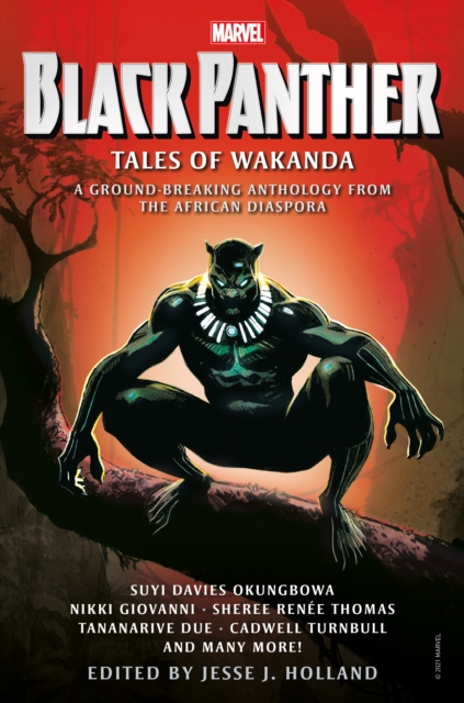 Obrázok Black Panther: Tales of Wakanda