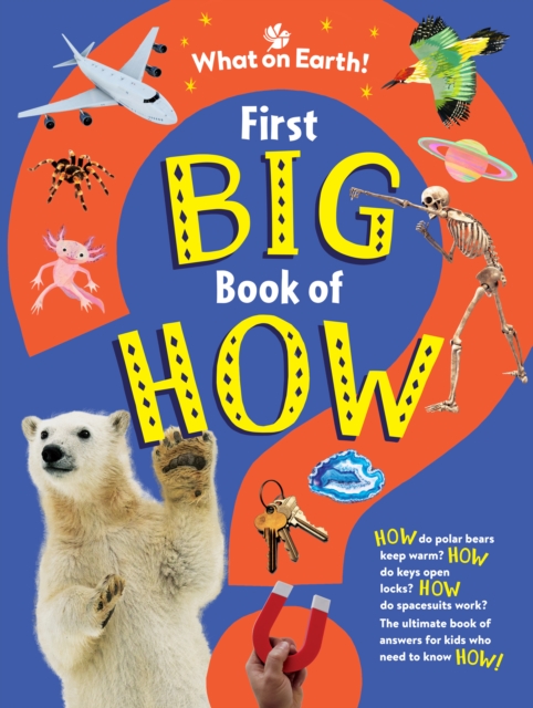 Obrázok First Big Book of How