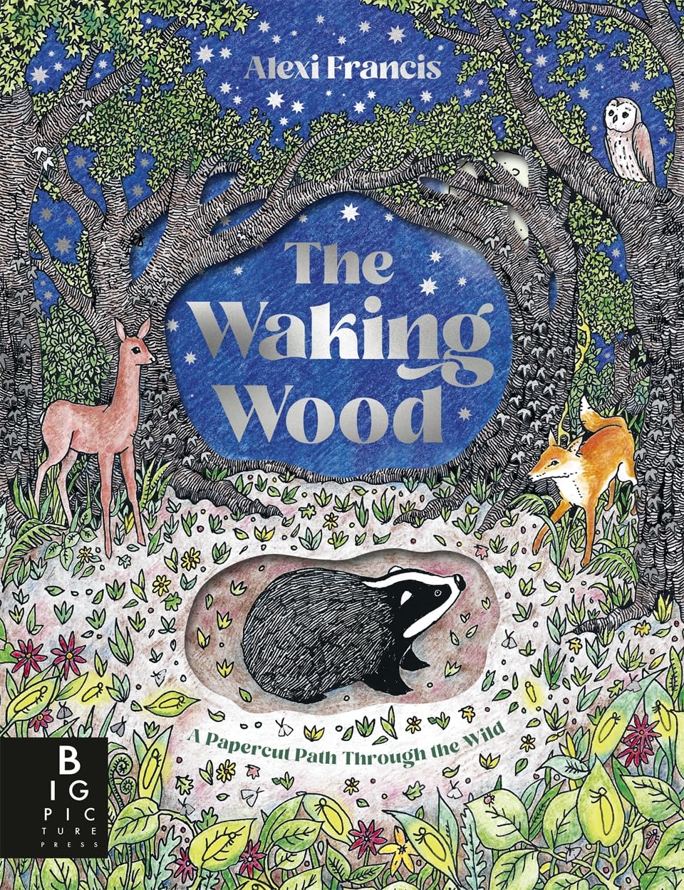 Obrazok The Waking Wood