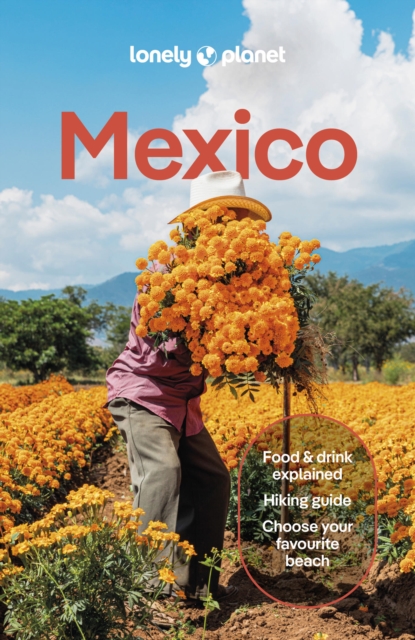 Obrázok Lonely Planet Mexico