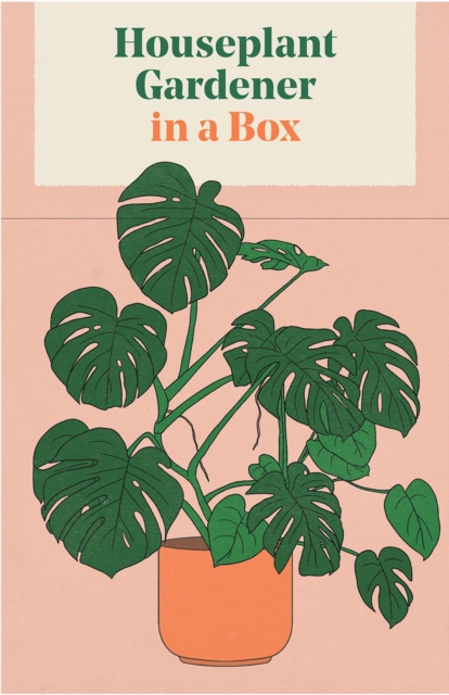 Obrázok Houseplant Gardener in a Box