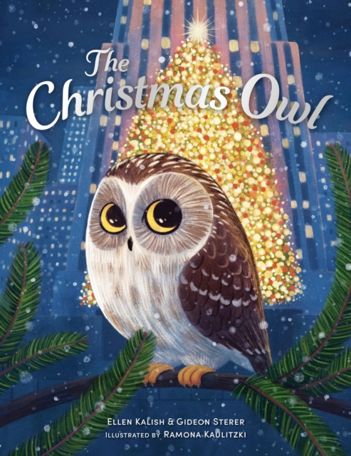 Obrázok The Christmas Owl