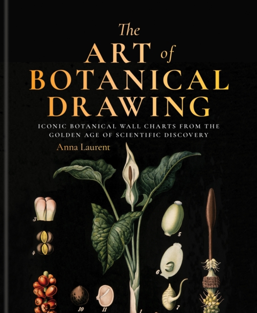 Obrázok The Art of Botanical Drawing