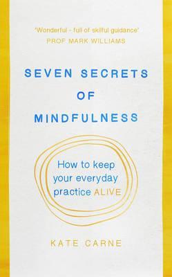Obrázok Mindfulness: The Secret of Sustaining Practice