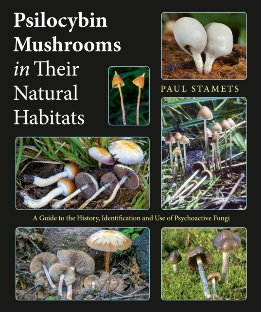 Obrázok Psilocybin Mushrooms in Their Natural Habitats