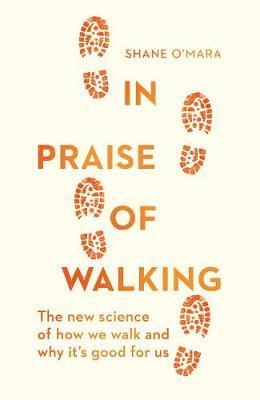 Obrázok In Praise of Walking