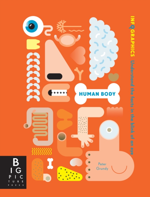 Obrázok Infographics Human Body