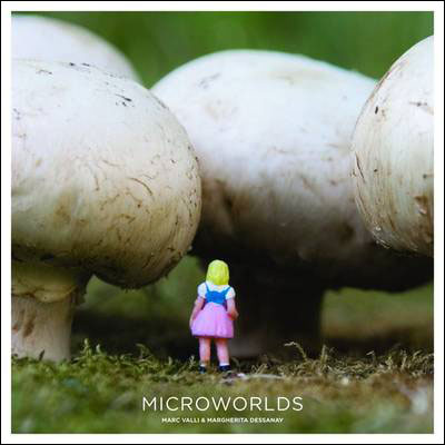 Obrázok Microworlds
