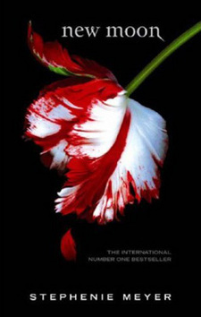 Obrázok New Moon