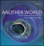 Obrázok Another World