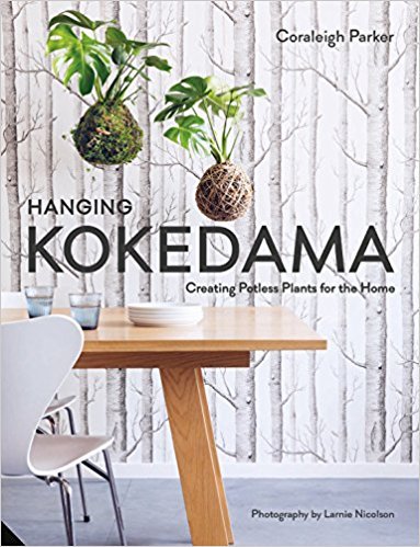 Obrázok Hanging Kokedama