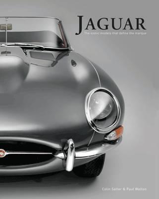 Obrázok Jaguar