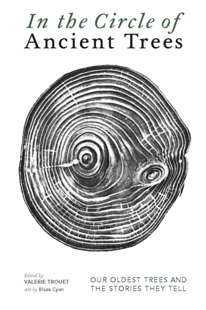 Obrázok In The Circle of Ancient Trees