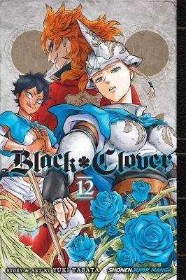 Obrázok Black Clover 12