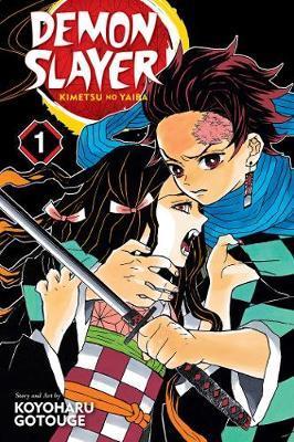Obrázok Demon Slayer: Kimetsu no Yaiba 1