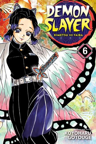 Obrázok Demon Slayer: Kimetsu no Yaiba 6