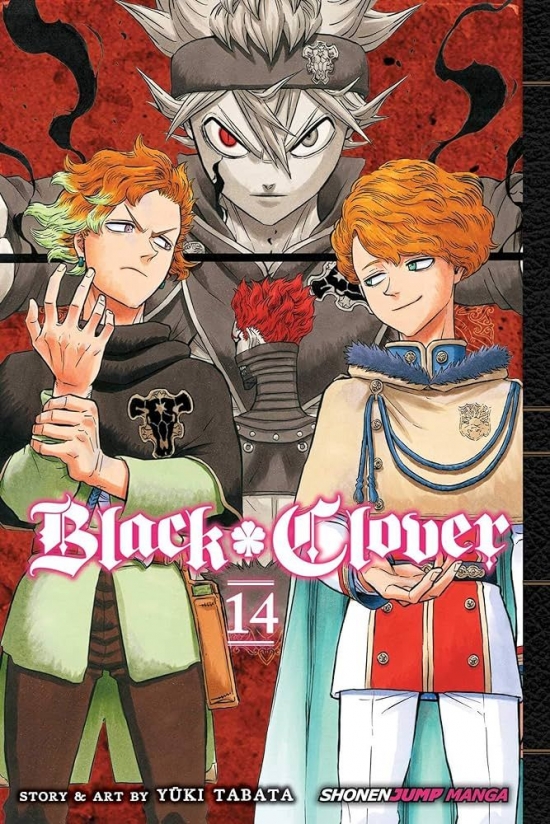 Obrázok Black Clover 14
