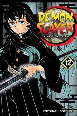 Obrázok Demon Slayer: Kimetsu no Yaiba 12