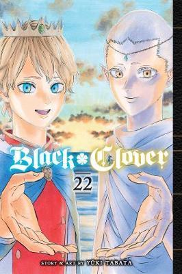 Obrázok Black Clover 22