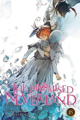 Obrázok The Promised Neverland 18