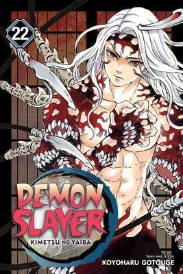 Obrázok Demon Slayer: Kimetsu no Yaiba 22