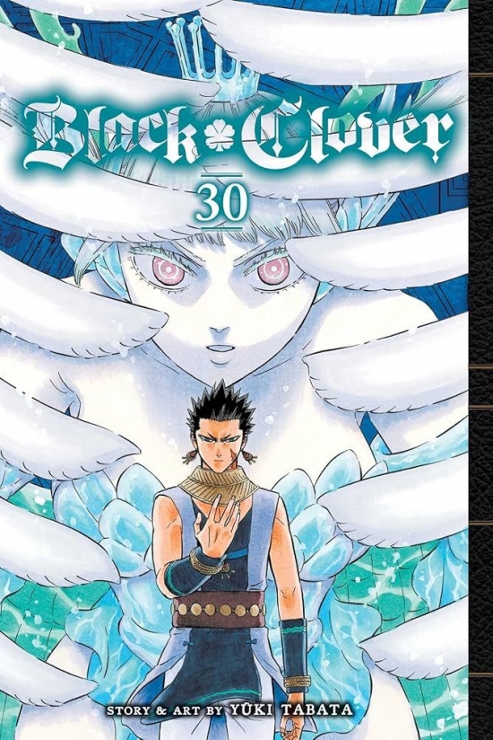 Obrázok Black Clover 30