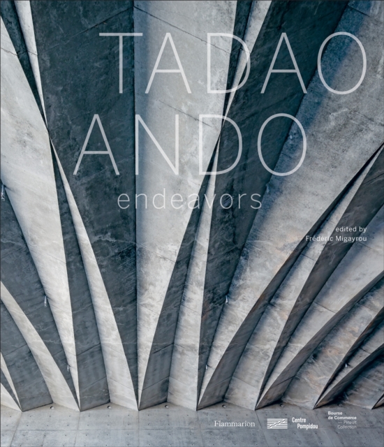 Obrázok Tadao Ando: Endeavours