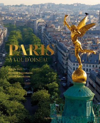 Obrázok Paris a vol d´oiseau