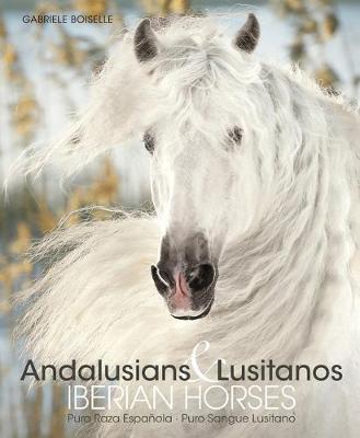 Obrázok Andalusians & Lusitanos - Iberian Horses