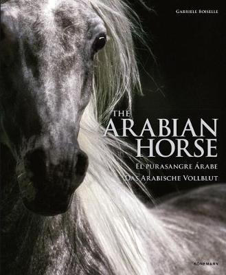 Obrázok Arabian Horse