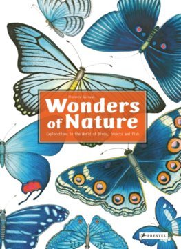 Obrázok Wonders of Nature: Explorations in the World of Birds, Insects and Fish