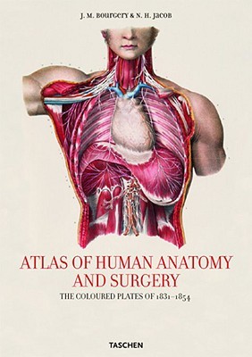 Obrázok Atlas Anatomy Bourgery 25 fp