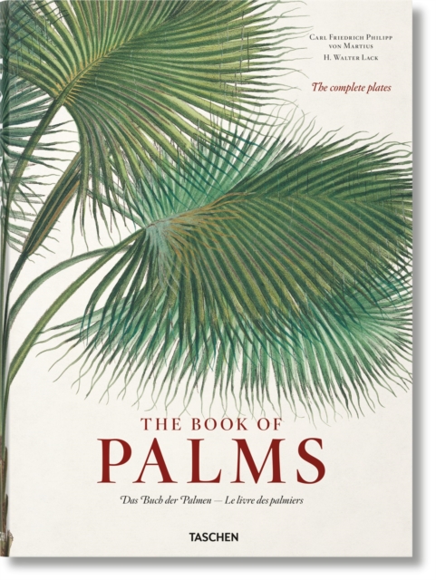 Obrázok Martius. The Book of Palms