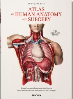Obrázok Bourgery, Atlas of Human Anatomy and Surgery