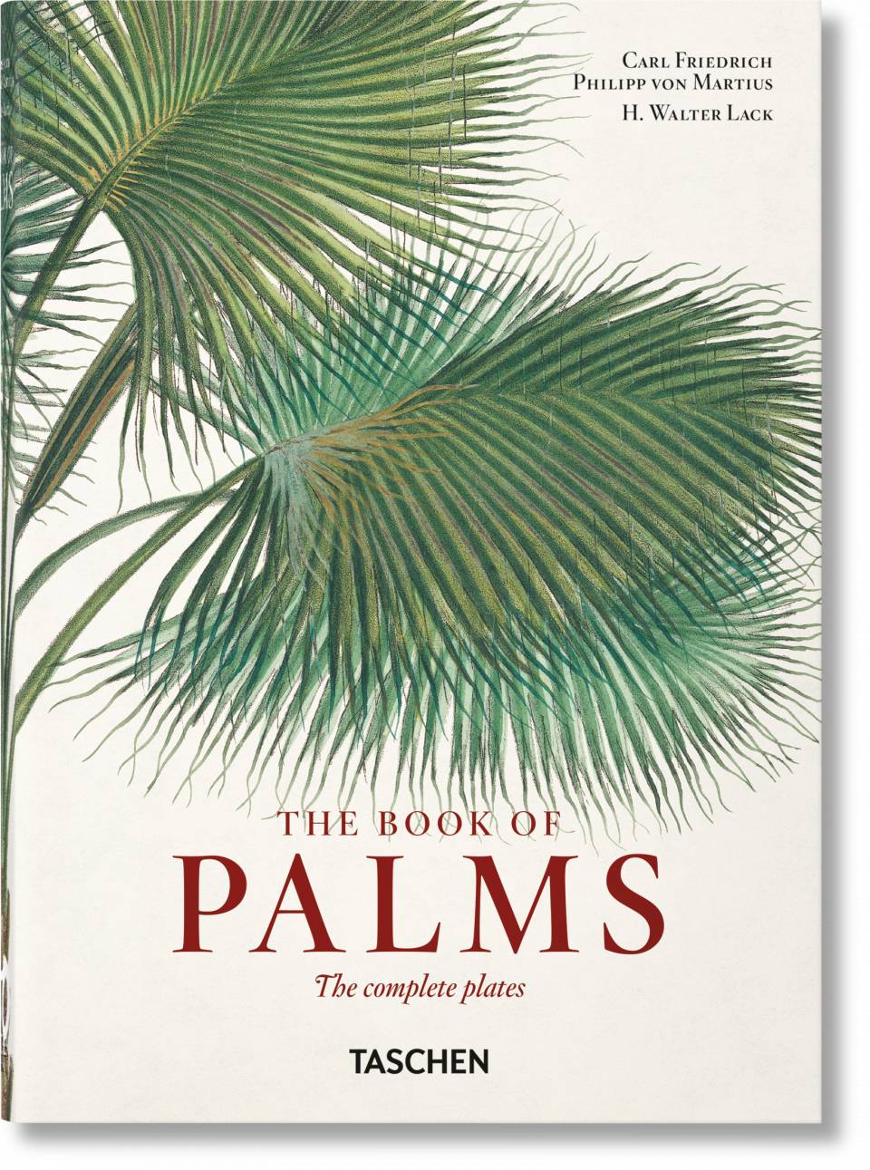 Obrázok Martius. The Book of Palms. 40th Ed.