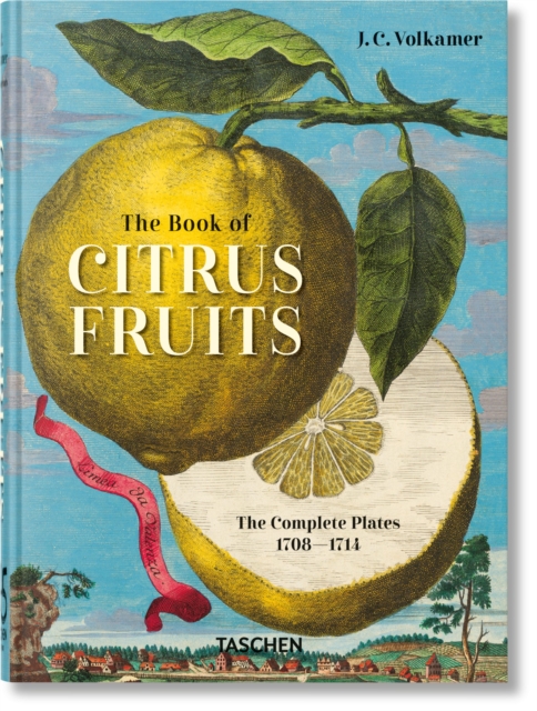 Obrázok J. C. Volkamer. The Book of Citrus Fruits. 45th Ed.