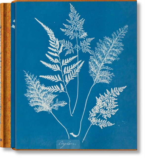 Obrázok Anna Atkins. Cyanotypes