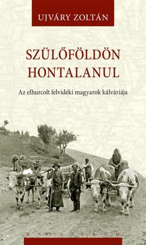 Obrázok Szülőföldön hontalanul